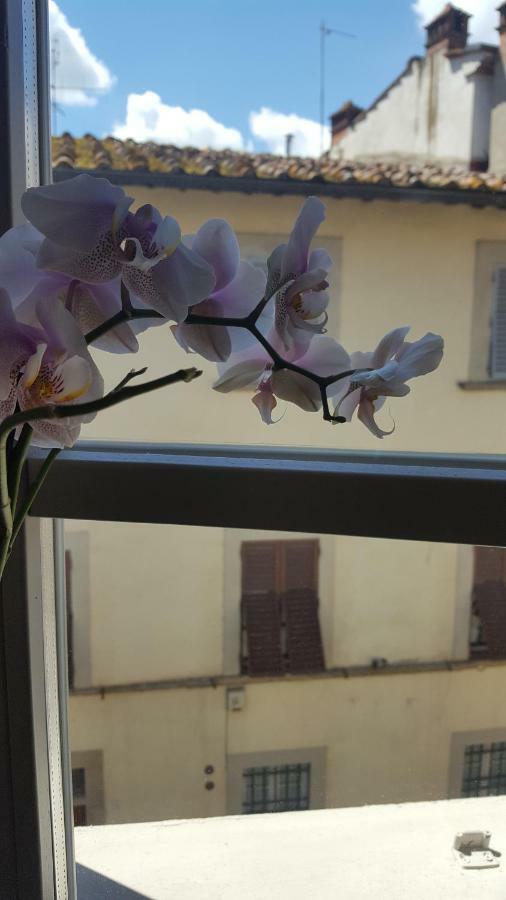 Sweet Tuscany Arezzo Zewnętrze zdjęcie